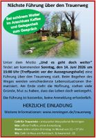 Teaserbild