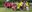 Teaserbild
