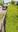 Teaserbild