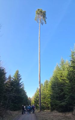 Teaserbild für Seniorenprogramm für KW 13