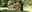 Teaserbild
