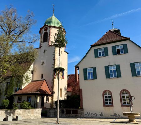 Teaserbild für Die Maibäume wurden aufgestellt