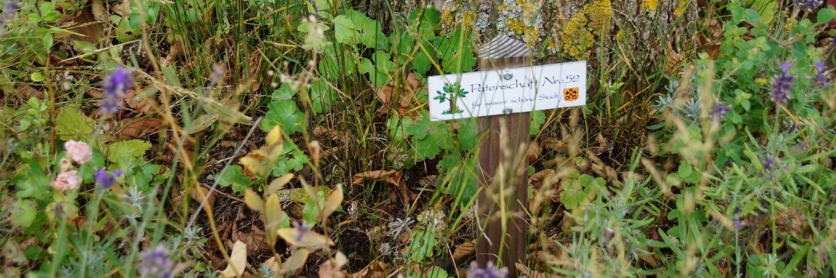 Ansicht Rathaus Renningen