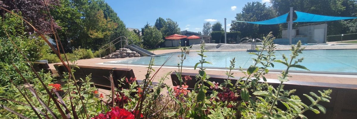 Freibad Renningen Blumen im Sommer Bürgerbüro Renningen