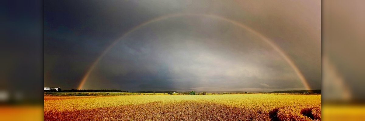 Regenbogen über Renningen Regenbogen über Renningen