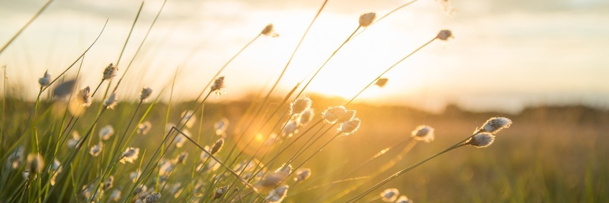 Bürgerbüro Renningen