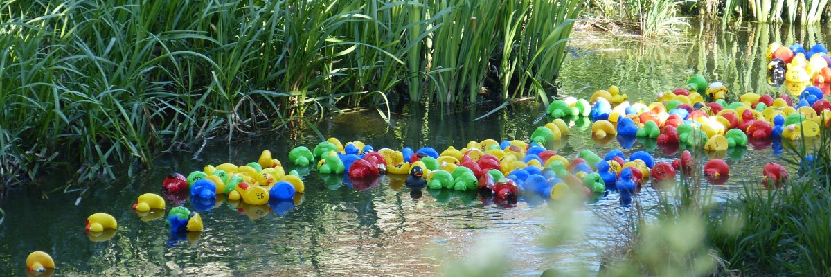 Entenrennen beim Ostermarkt