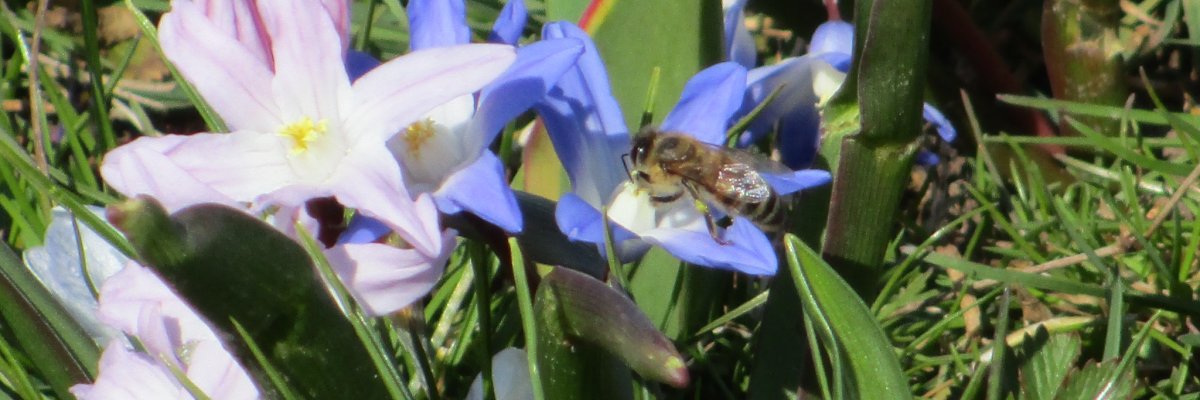 Bürgerbüro Renningen