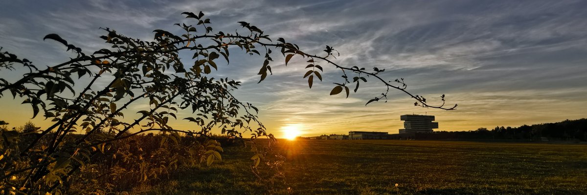Sonnenaufgang mit Blick auf Bosch Ansicht Rathaus Renningen