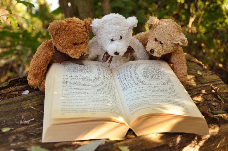 Stoffbären lesen ein Buch