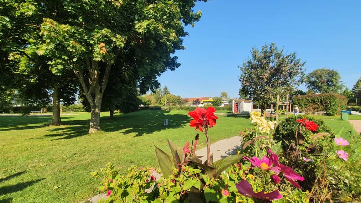 Freibad Renningen Liegewiese