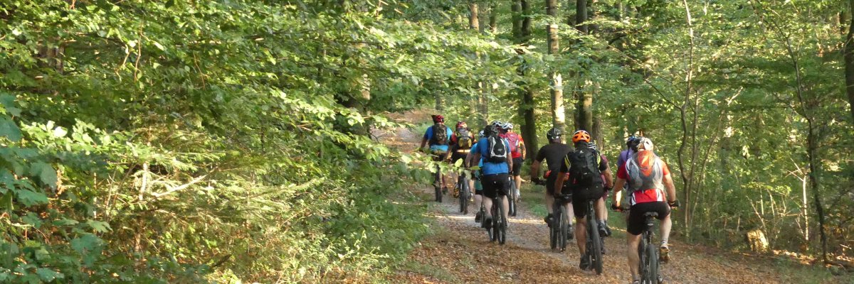 Radfahrer im Wald