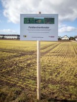 Informationsschild Feldlerchenfenster auf einem Acker
