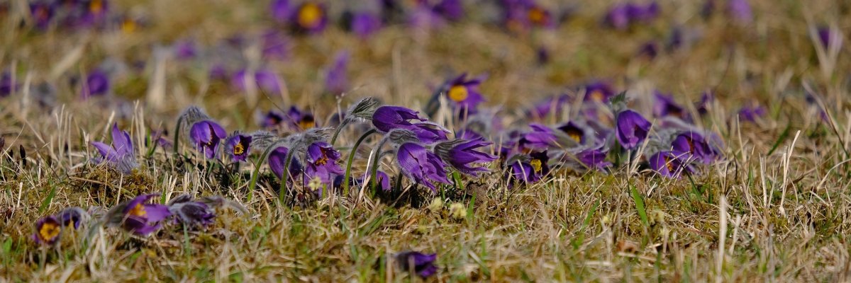 Bürgerbüro Renningen